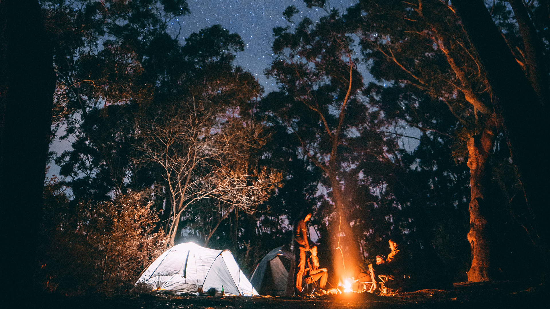 Camping in Blackheath, Blue Mountains NSW with Bronco Built